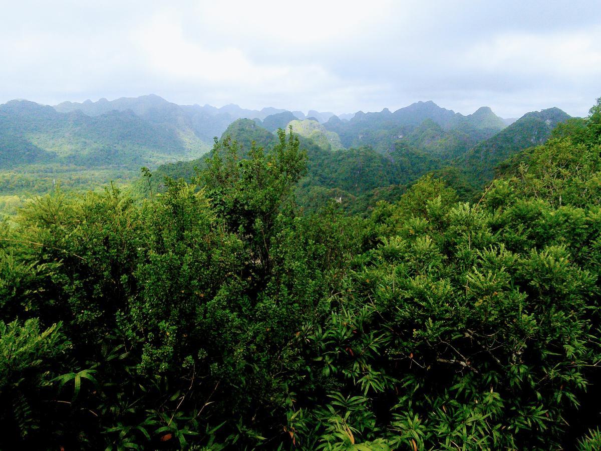 Nam Phuong Hotel Dong Khe Sau Buitenkant foto